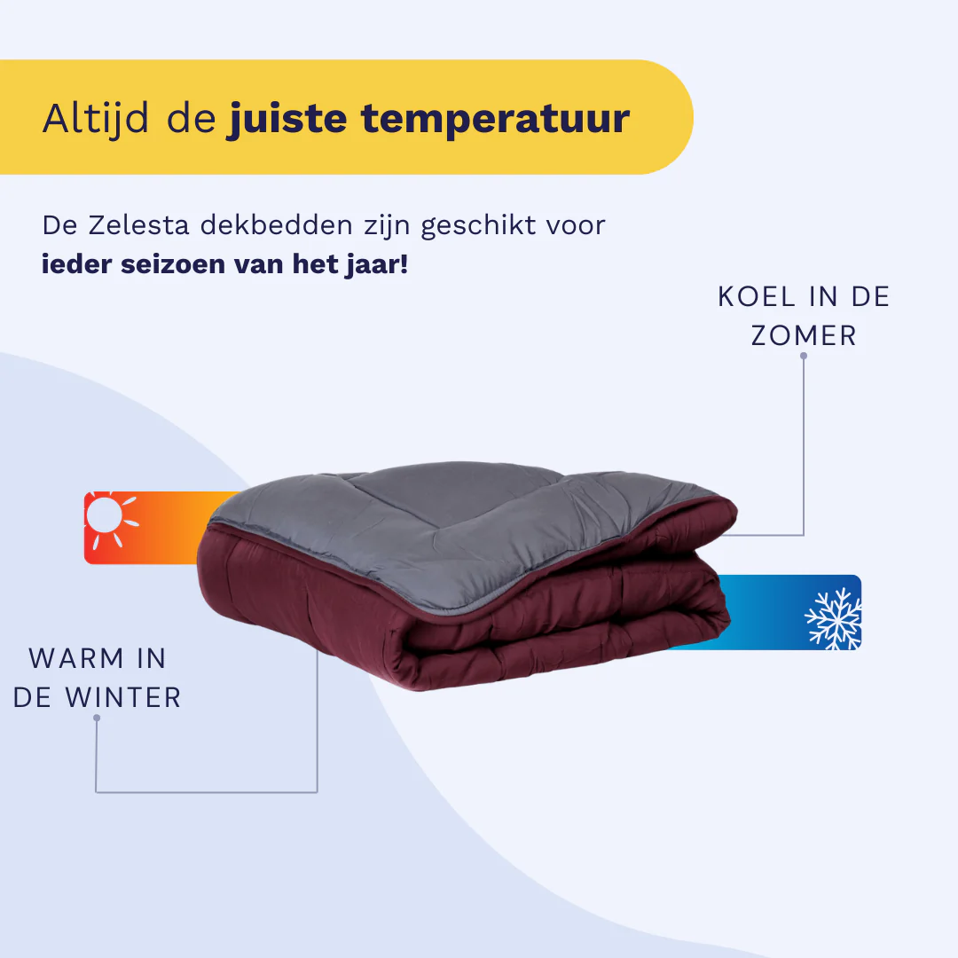 Zelesta Everyday Duo Dekbed - Paars & Antraciet - Image 5