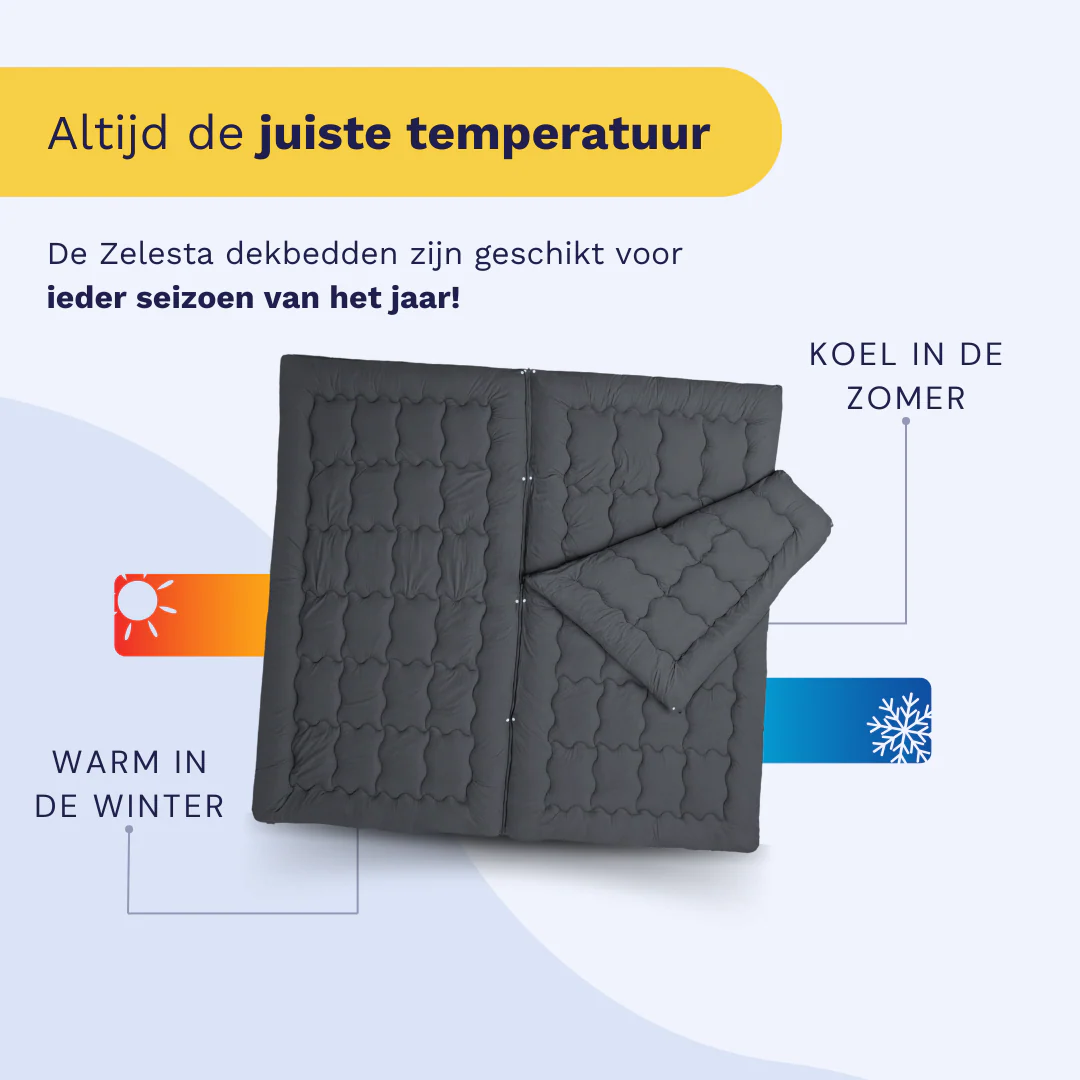 Zelesta Flexibed - Anthracite - Image 6