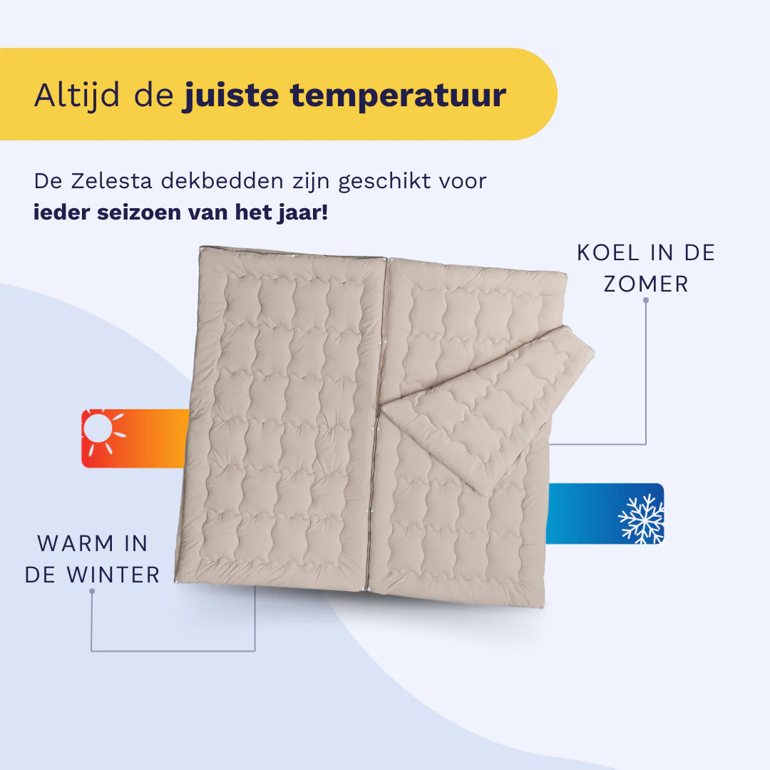 Zelesta Flexibed - Taupe - Image 5