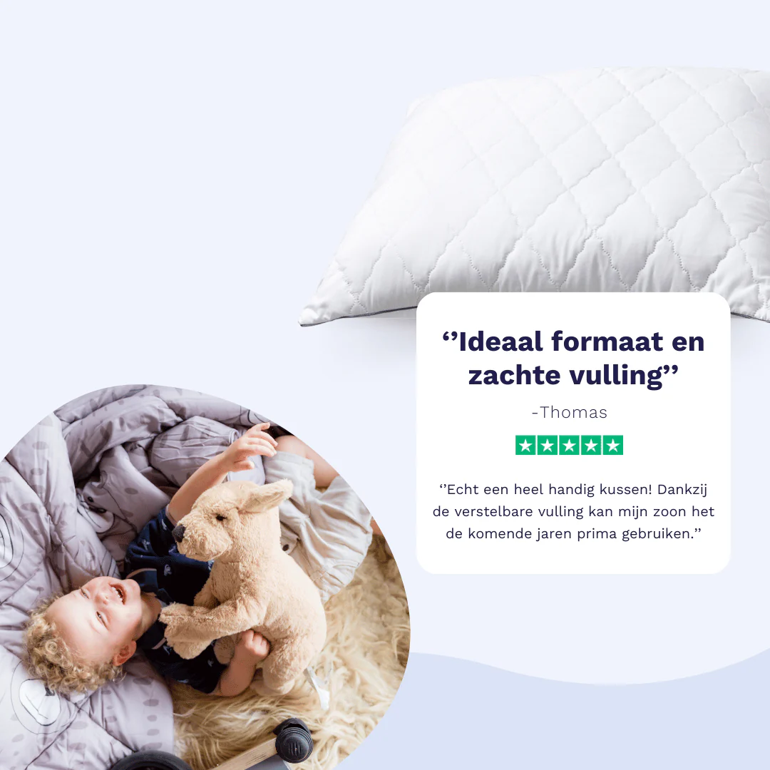 Zelesta Pillow 40x60cm - Image 3