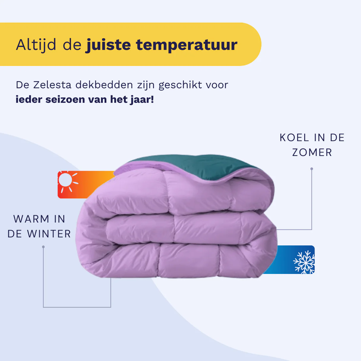 Zelesta Royalbed - Petrol & Lila - Image 5