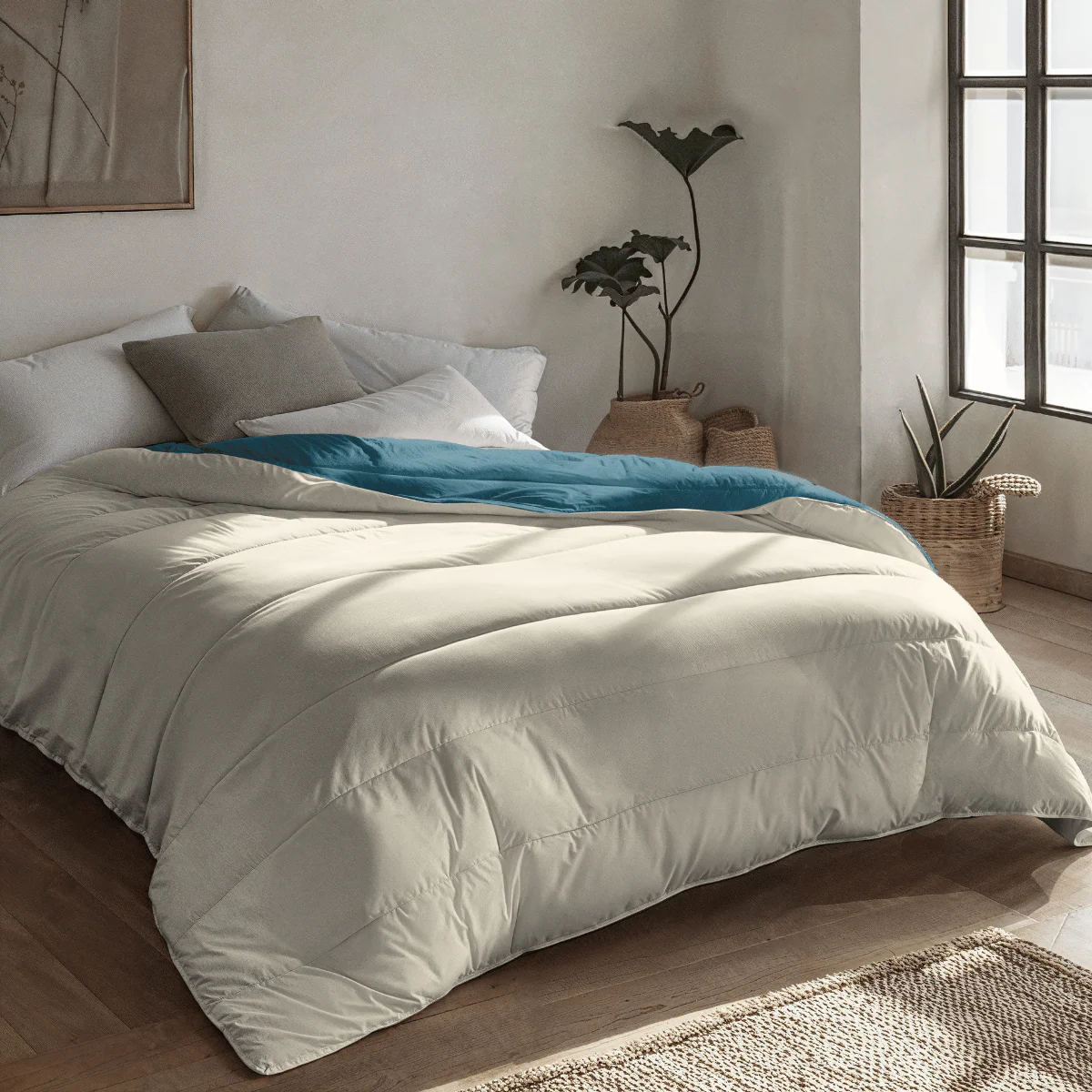 Zelesta Royalbed - Petrol & Sand Beach - Image 2