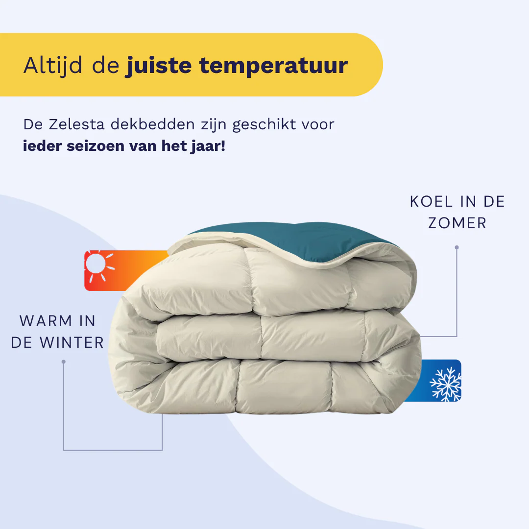 Zelesta Royalbed - Petrol & Sand Beach - Image 5