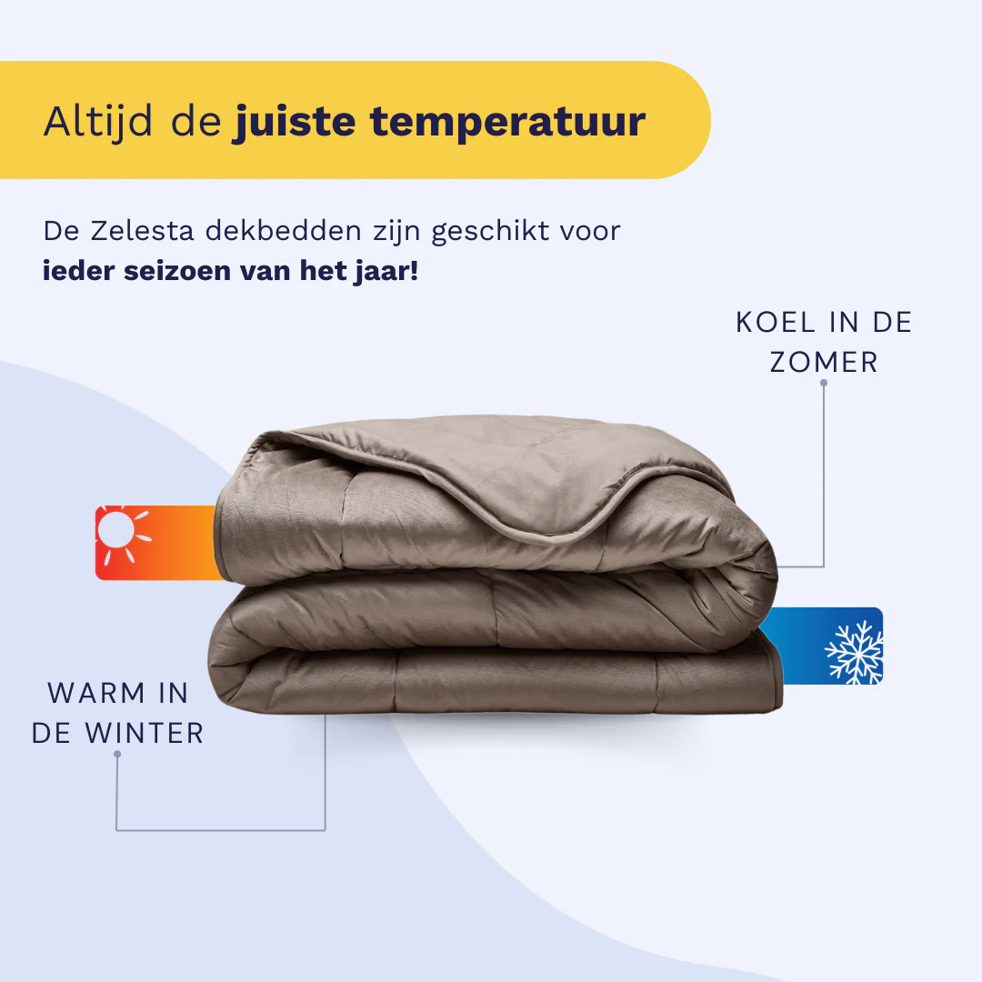 Zelesta Velvetbed - Taupe - Image 5